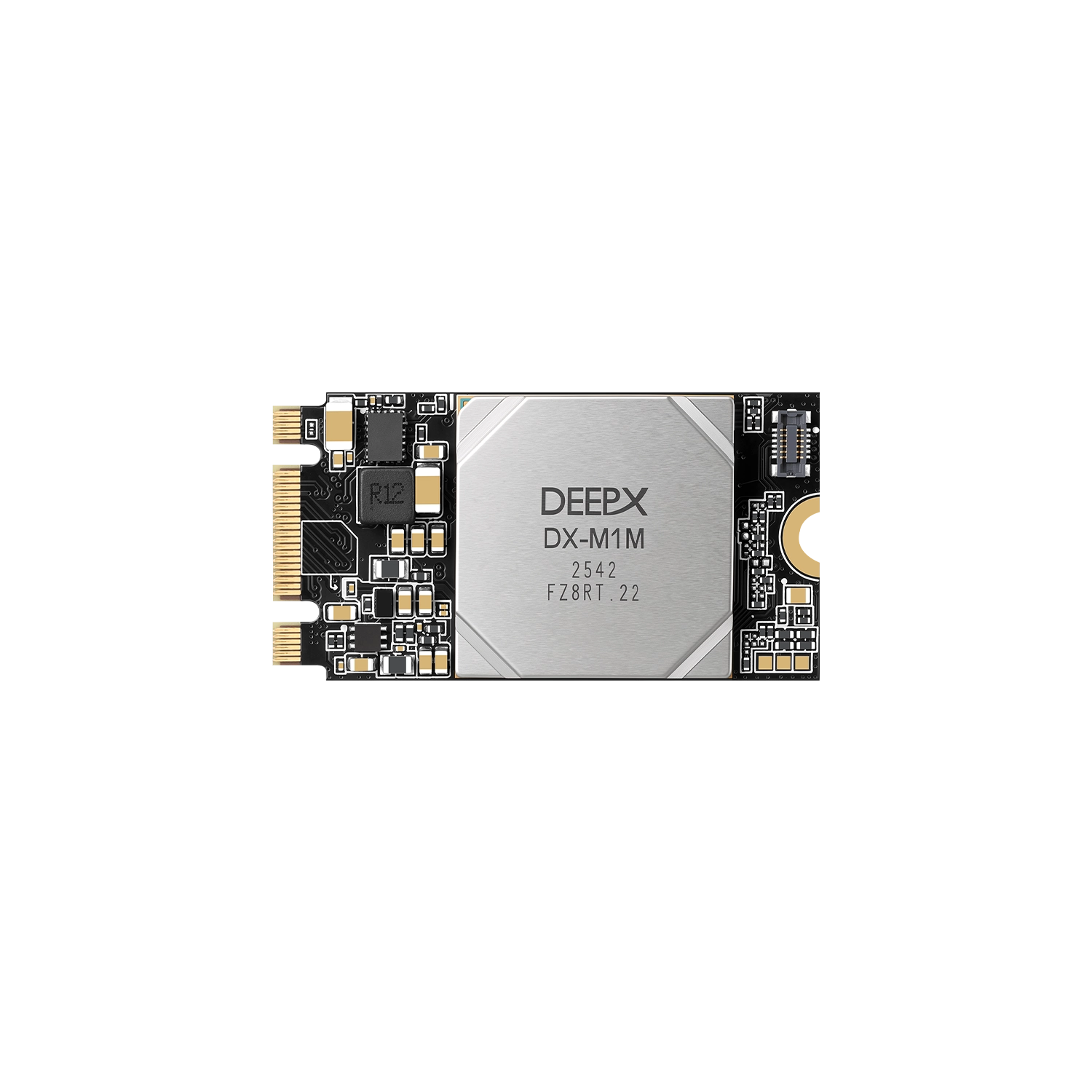 DeepX-M1M