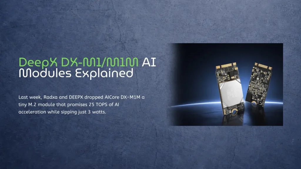 DeepX DX-M1 vs DX-M1M