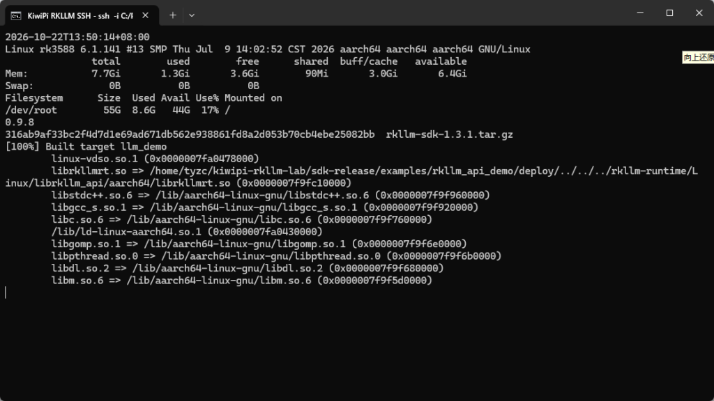 Terminal showing RKNPU driver 0.9.8, a successful llm_demo build and resolved RKLLM shared libraries
